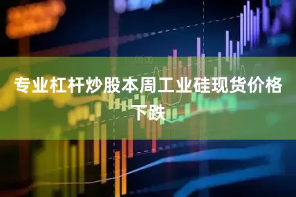 专业杠杆炒股本周工业硅现货价格下跌