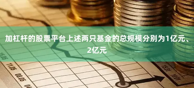 加杠杆的股票平台上述两只基金的总规模分别为1亿元、2亿元