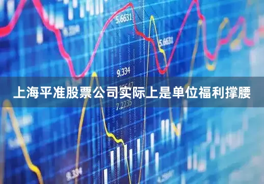 上海平准股票公司实际上是单位福利撑腰