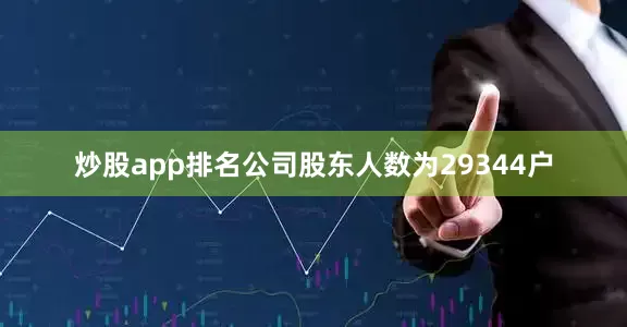 炒股app排名公司股东人数为29344户