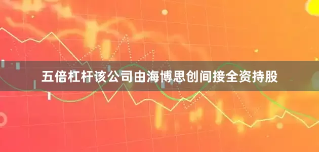 五倍杠杆该公司由海博思创间接全资持股