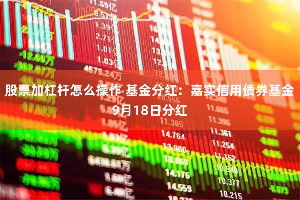 股票加杠杆怎么操作 基金分红：嘉实信用债券基金9月18日分红