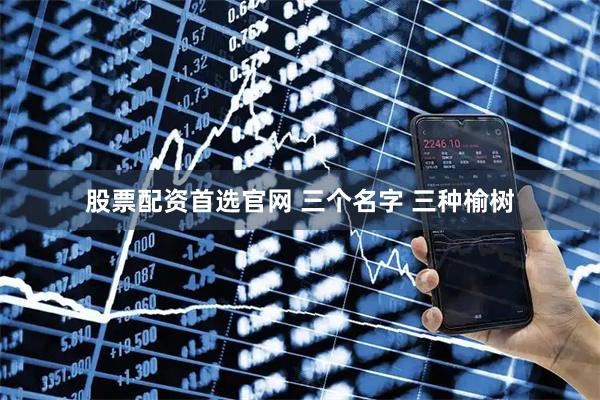 股票配资首选官网 三个名字 三种榆树