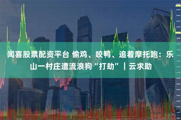 闻喜股票配资平台 偷鸡、咬鸭、追着摩托跑:乐山一村庄遭流浪狗“打劫”|云求助